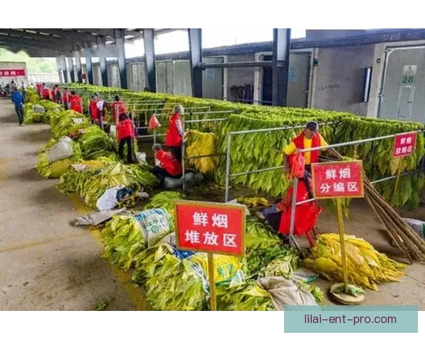 利来集团引领新时代创新发展与行业变革全面解析