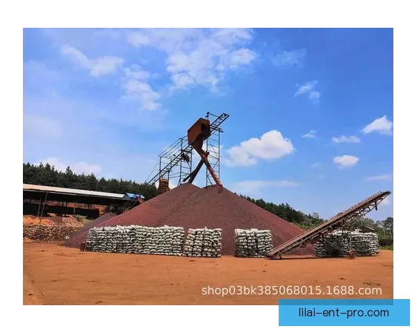 世界杯竞猜首存优惠火热来袭新用户专享高额彩金与免费竞猜机会